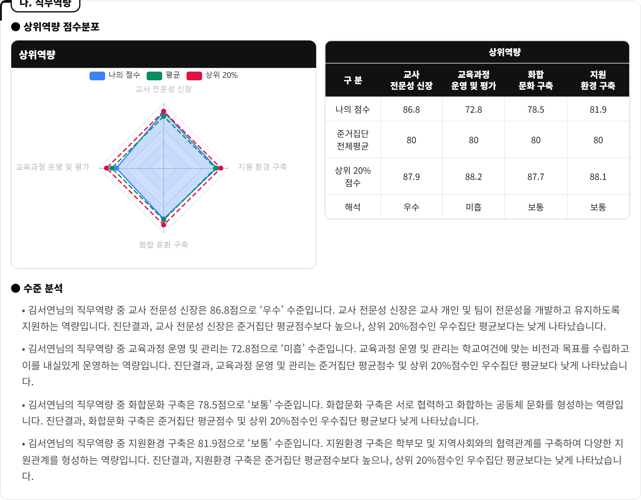 다. 직무역량 — 상위역량 4개 레이더와 수준 분석